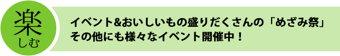 楽しむ